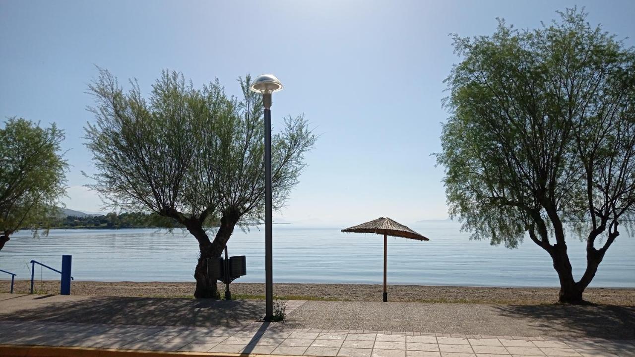 Angela's Seaside Luxury Flat Апартаменты