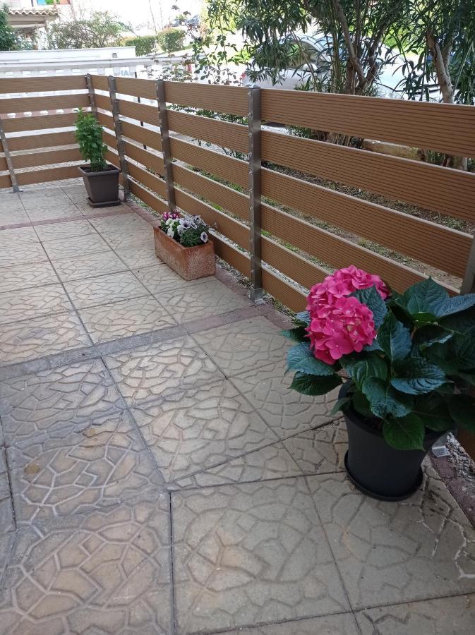 Angela's Seaside Luxury Flat Lefkandi Chalkida